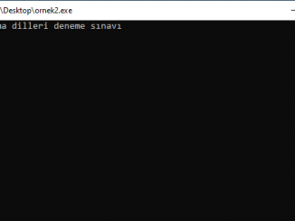 C Programlama Girilen Cümlenin Baş Harflerini Alıp Yazdırmak