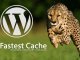WP Fastest Cache Kurulumu ve Ayarları