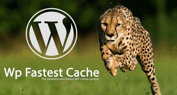 WP Fastest Cache Kurulumu ve Ayarları